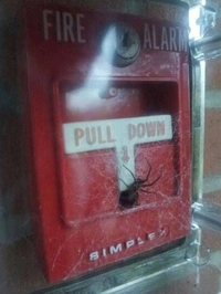 En cas d'incendie