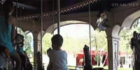 Bad trip pour un écureuil