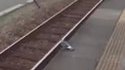 Le train-train quotidien