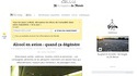 Alcool en avion : quand ça dégénère