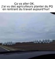 Le saint siège est sauvé !