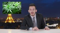 La légalisation du cannabis en France - Cyrus North
