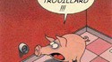 Cochon trouillard