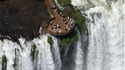 Un balcon aux chutes du Niagara