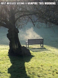 Rater un vampire à quelques instants près