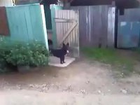 Porte ouverte