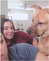 Raconter une histoire à son chien, en mettant tous les mots clefs