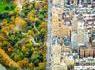 New-York : une avenue bordant Central Park