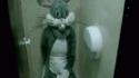 Un lapin aux toilettes