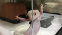 Lézard sexy
