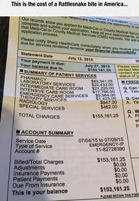 Ce que coûte une morsure de serpent aux USA