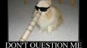 Pas de question