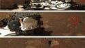 Exclu !!! Un crâne découvert sur Mars