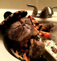 Une petite sieste 