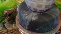 Gâteau Star Wars