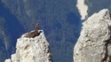 Regardez le monde de haut