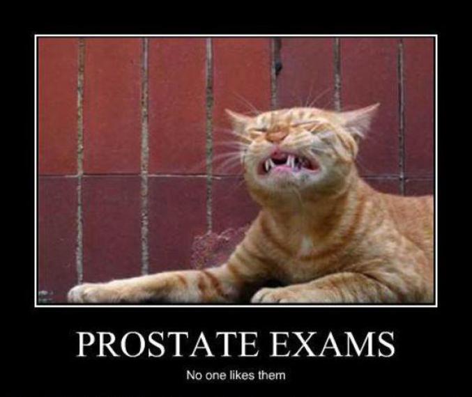 Un examen de la prostate...