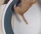 c'est assez, dit la baleine