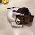Petite compil lolcat 