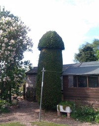 A la recherche des phallus perdus 104