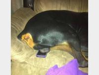 Où est mon téléphone ?