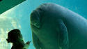 Une rencontre
