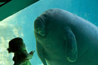 Une rencontre