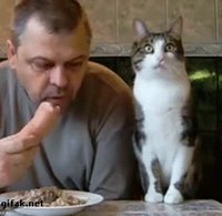 Kan tu sens une saucisse