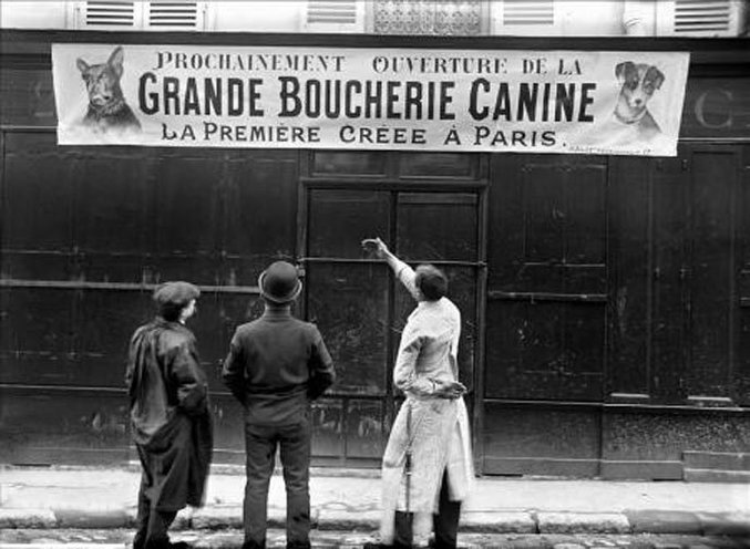 "On trouvait en France quelques boucheries canines jusqu'à la première moitié du xxe siècle . La viande de chien est également consommée dans la France d'outre-mer." (Wikipedia)