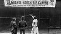 Grande boucherie canine