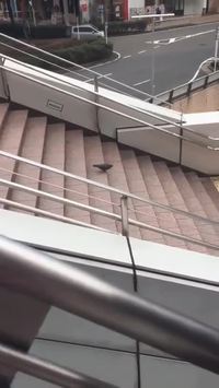 Un pigeon descend des escaliers