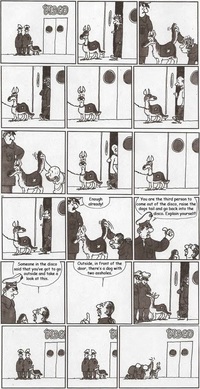 Un chien particulier