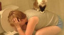 Chat utile