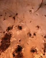 Pendant ce temps là 