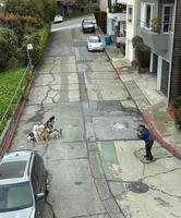 Restez groupir ! Patience infinie du photographe...