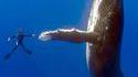 Give me five