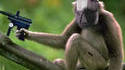 paintballmonk