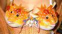 Soutien gorge poisson
