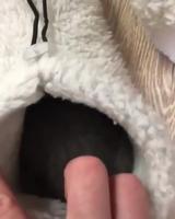 Si un truc bloque au fond de la pantoufle