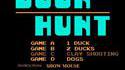 Duck Hunt