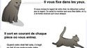 Les chats