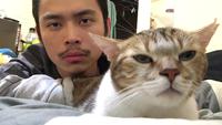 Un chat qui a le sens du rythme