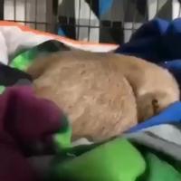 Le réveil du lundi matin 