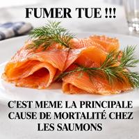 Même sans feu