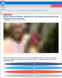 Ah, les têtes de chien!