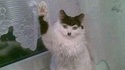 Salut !