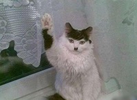 Salut !