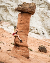 Anything's A Dildo If You're Brave Enough