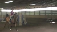 Chute à cheval