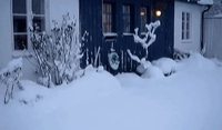 En ce moment, Mylo-le-lyonnais se régale